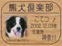 �I�[�i�[�́A�ɂ�����[����ł���